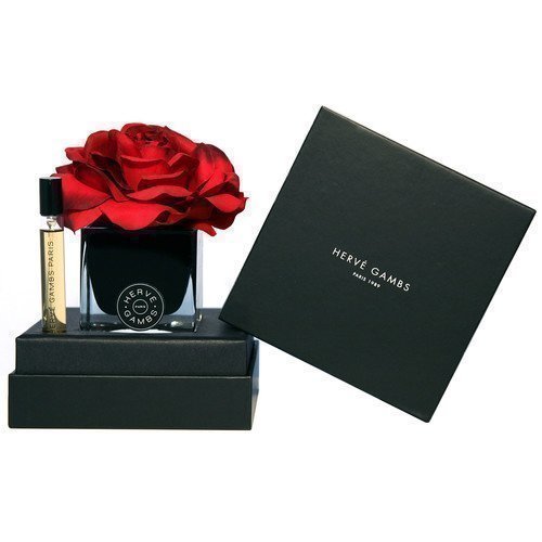 set-herve-gambs-ecorce-fauve-room-spray-10-ml-black-couture-flower-porcelain-aroma-diffuser-black-1715069656-1