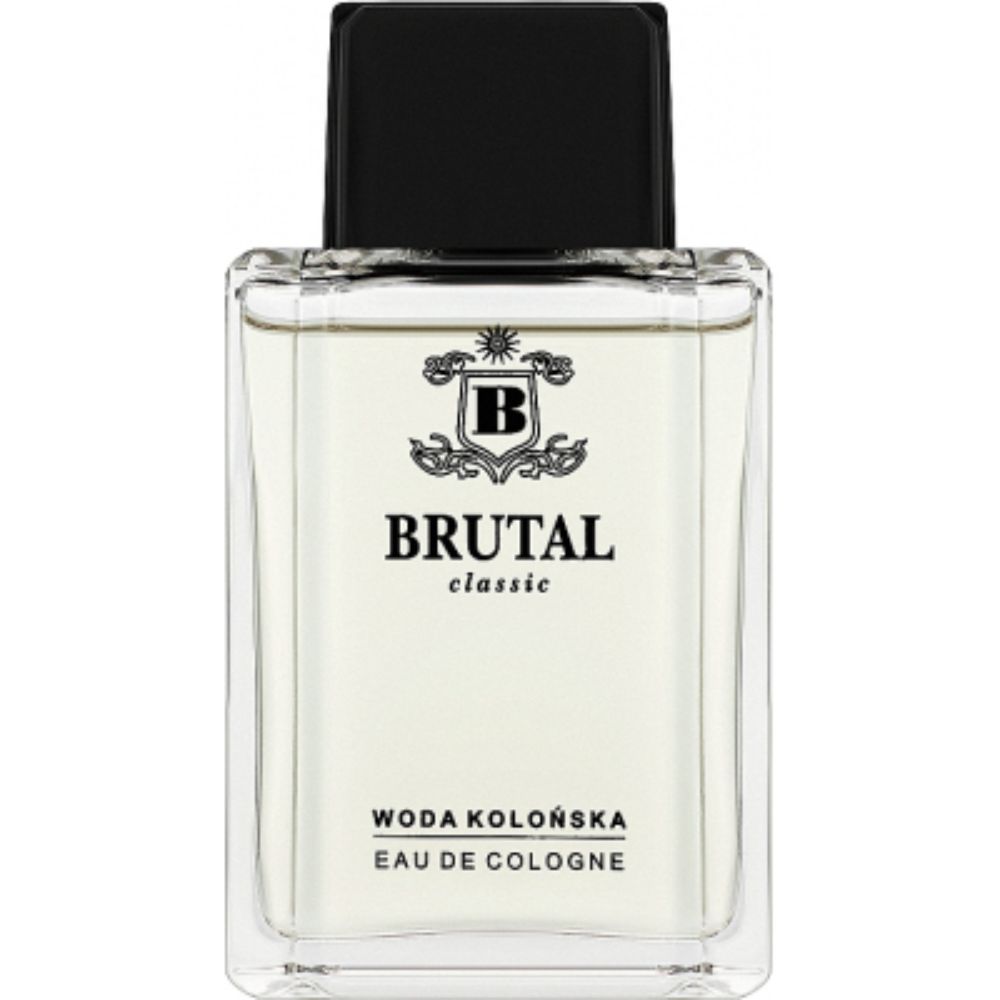 brutal-classic-eau-de-cologne-for-men-100-ml-1744787261-1