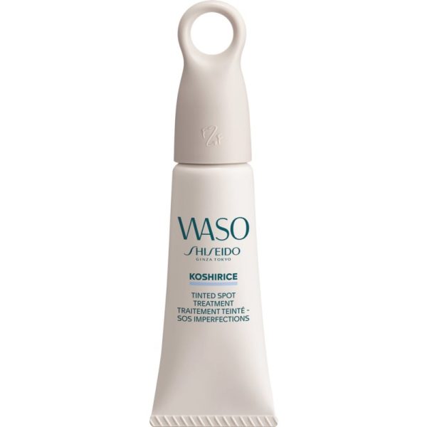 Shiseido, Koshirice, Cover Dark Spots, Liquid Concealer, 01, .03, 8 ml